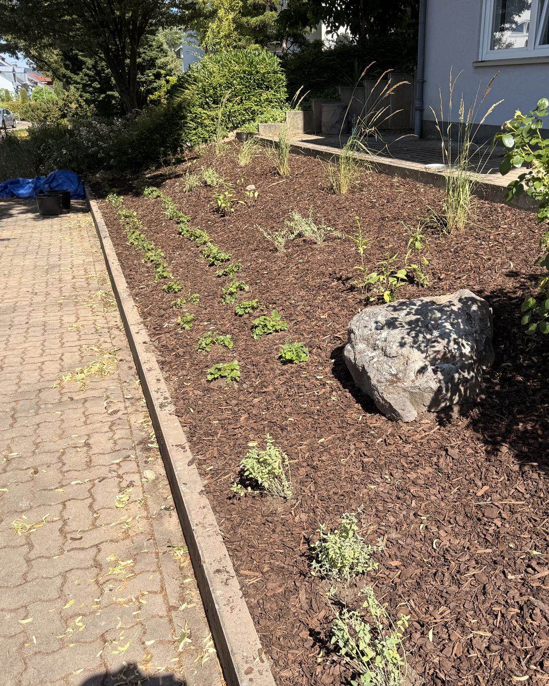 Neu angelegtes Staudenbeet mit Rindenmulch
