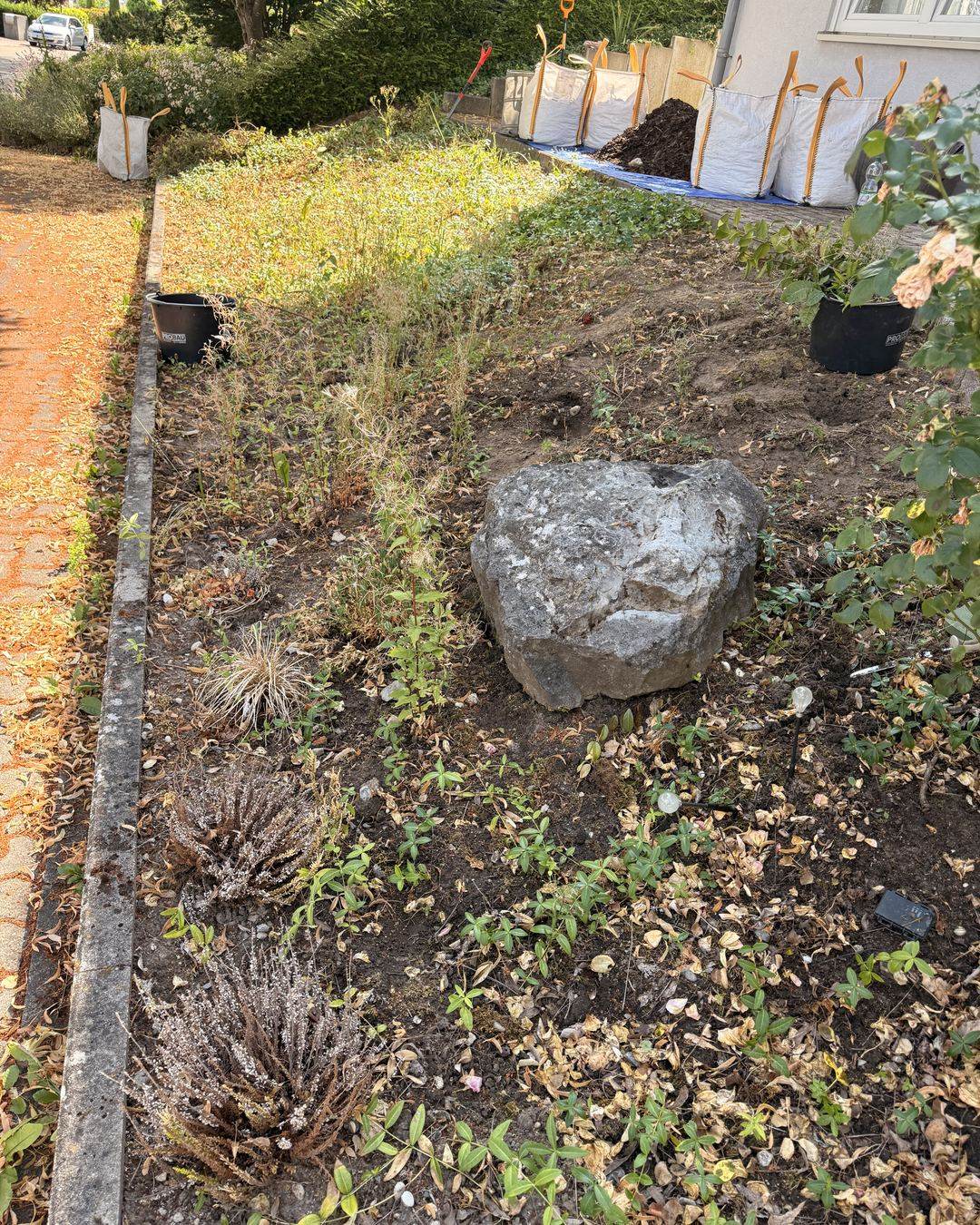 Verdichtete, verunkrautete Beetflaeche vor der Neuanlage