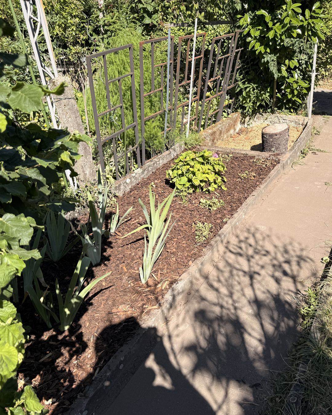 Gerodetes Beet, sauber mit Rindenmulch abgedeckt