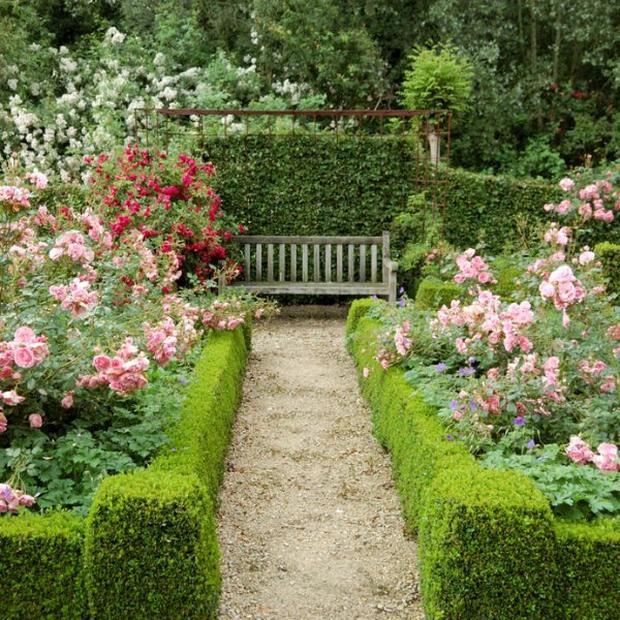 Formaler Garten mit Buchsbaumhecken und Rosen