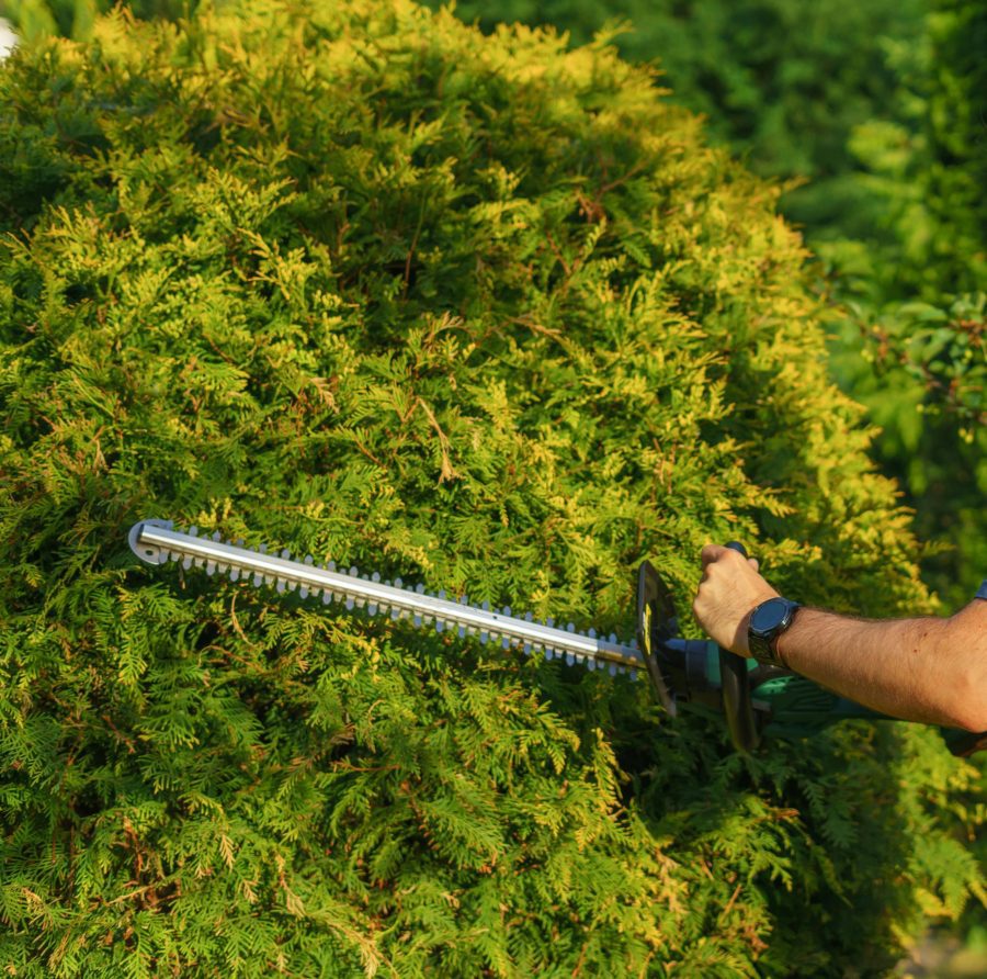 pexels-stitch-24595769