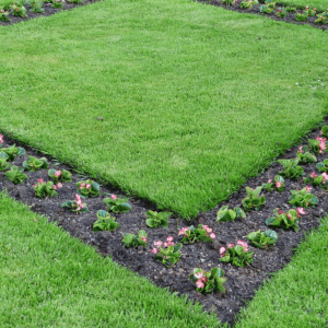 Professionelle Beetreinigung