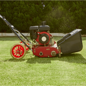 Fachgemäßes Vertikutieren