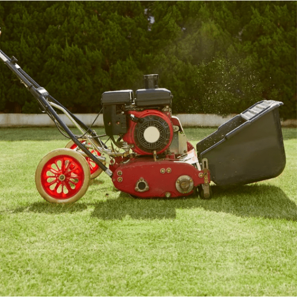 Fachgemäßes Vertikutieren