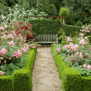 Individuelle Gartenpflege