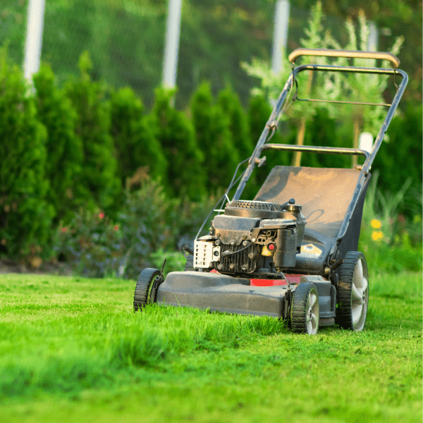 Qualitatives Rasenmähen