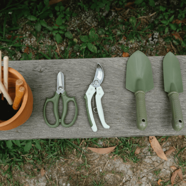 Design ohne Titel (1)