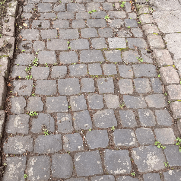 Design ohne Titel (2)